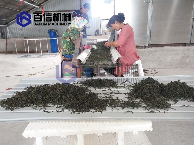 兰西豆角烘干机